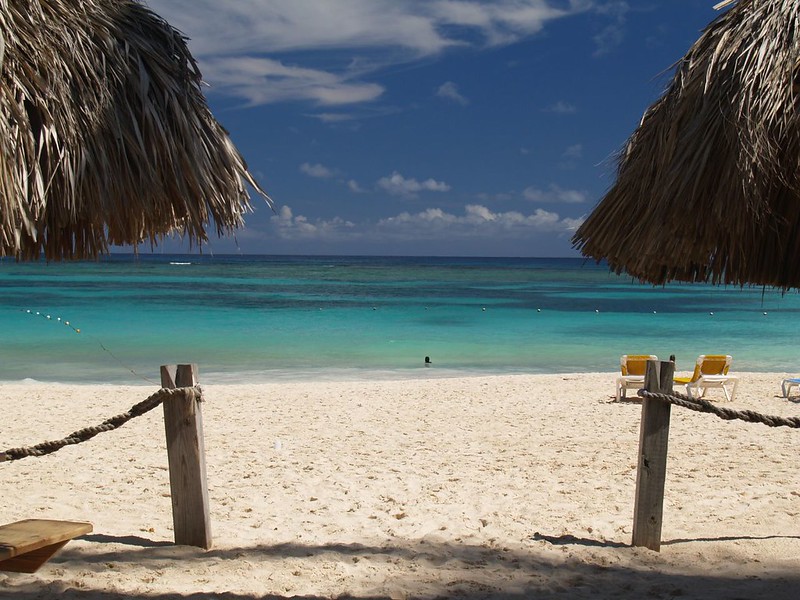 A Caribbean beach view framed by palms