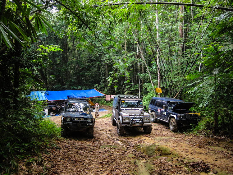 Three offroad vehicles in a jungle